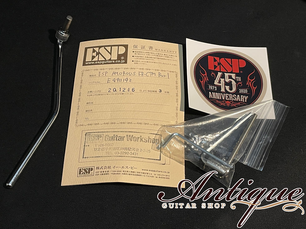 サムネイル： ESP 45th Anniversary Products AMOROUS CTM FR Burled Maple 2019年製 Brown Burst