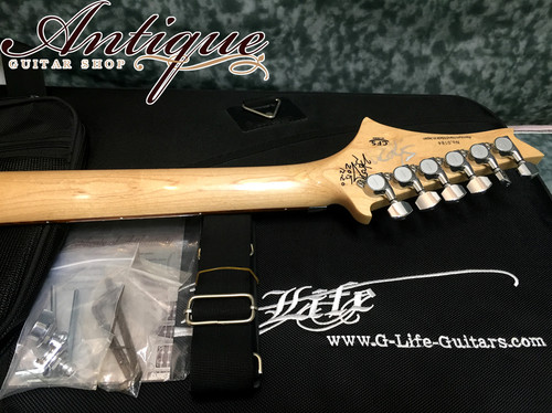 G-Life Guitars DSG EXTREME '15年製 5AFGM-HR Aqua Blue Resort EX+++
