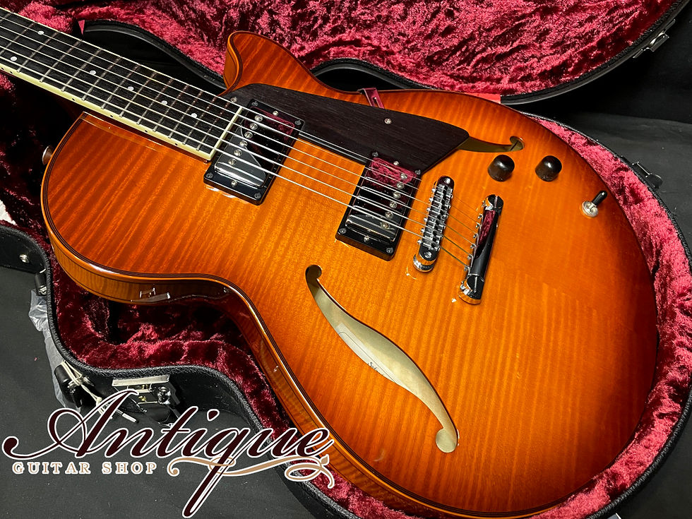 サムネイル： Sadowsky Archtops Series Semi Hollow 2018 Sienna Burst / Dot Marker
