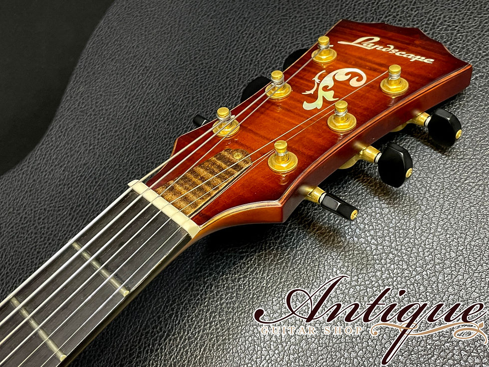 サムネイル： Landscape AR-101 2017年製 Antique Violin Color w/ Floating JS-JF PU Near-Mint