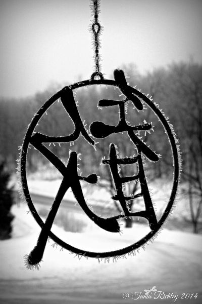 "Frosty Joy"by Soul Full Sanctuary Photography