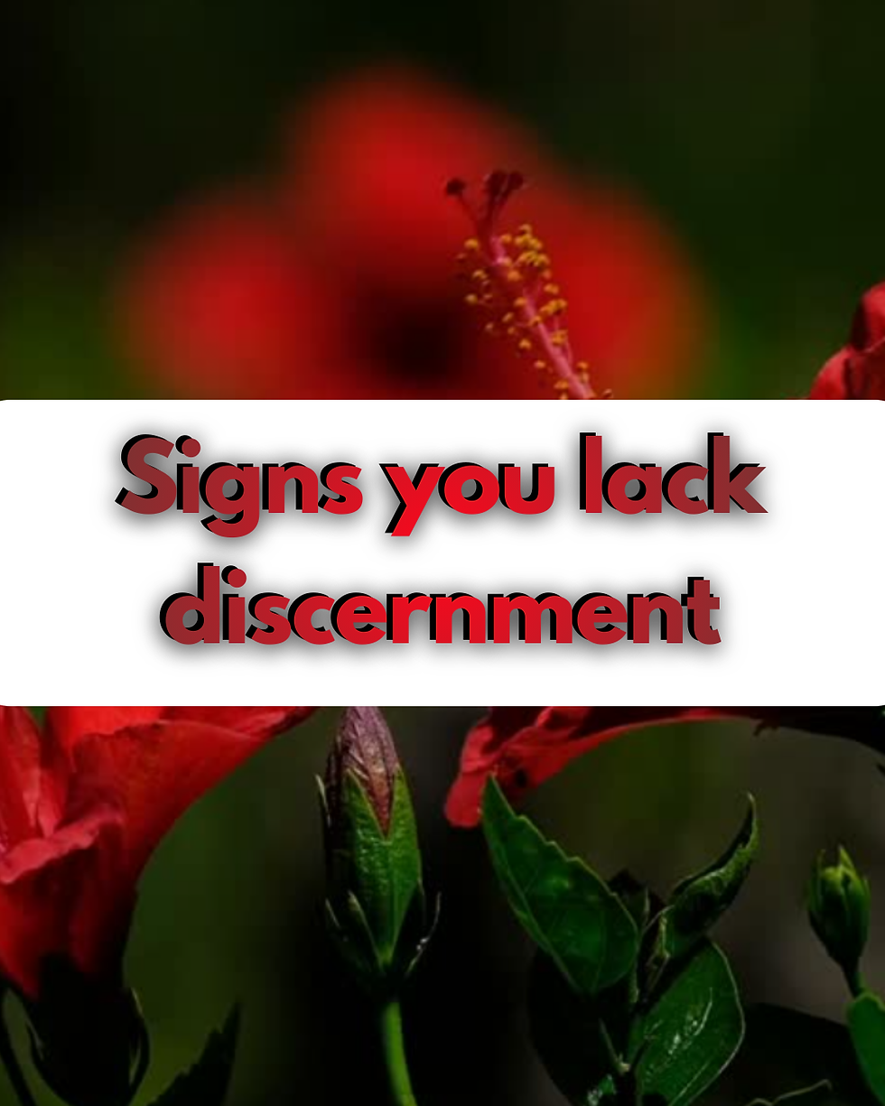 click to go to instagram post