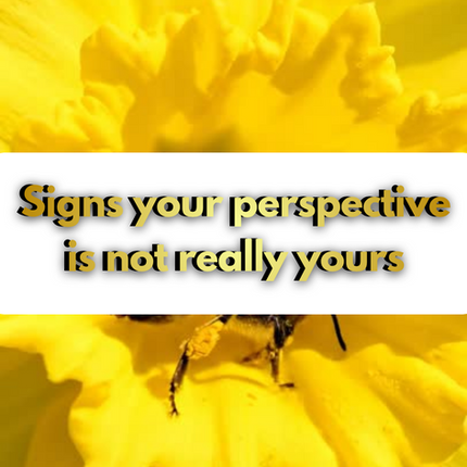 click to go to instagram post