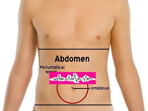 Diabetes Type 2 Reversal - Remission Belt - Stomach Area - Bio-Energetics (UK) Diabetes 'B