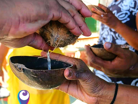 How You Can Incorporate Sustainable Tourism Into Your Next Trip