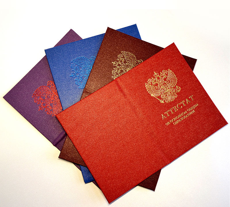 В школьных аттестатах не будет оценок по некоторым предметам, а средний балл упадет.