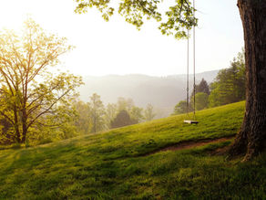 An empty swing hanging from a tree on a misty hillside, symbolizing time passing and the transience of good things