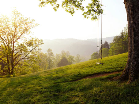 An empty swing hanging from a tree on a misty hillside, symbolizing time passing and the transience of good things