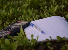 Budgeting Basics for Beginners: Simple, No Nonsense