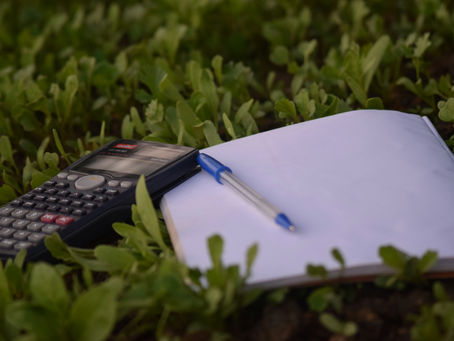 Budgeting Basics for Beginners: Simple, No Nonsense