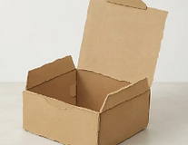CAJA 1.PNG