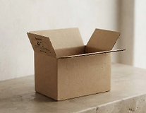 CAJA 3.PNG