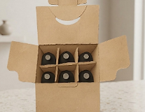 CAJA 2.PNG