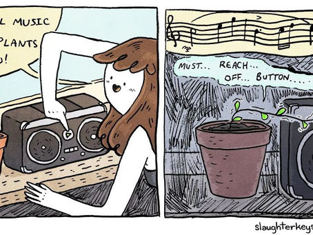 Plants love classical music?!