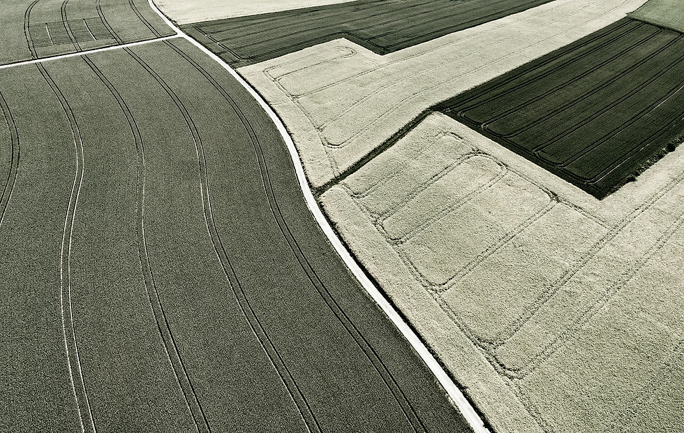 Campos Agrícolas