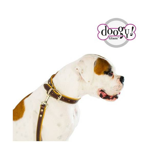 chien attaché avec la laisse Doogy CUIR Cognac