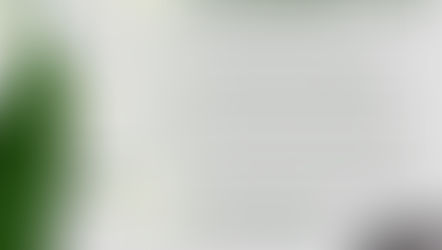 Attention au muguet !