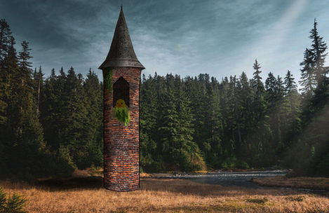 Rapunzel's Tower