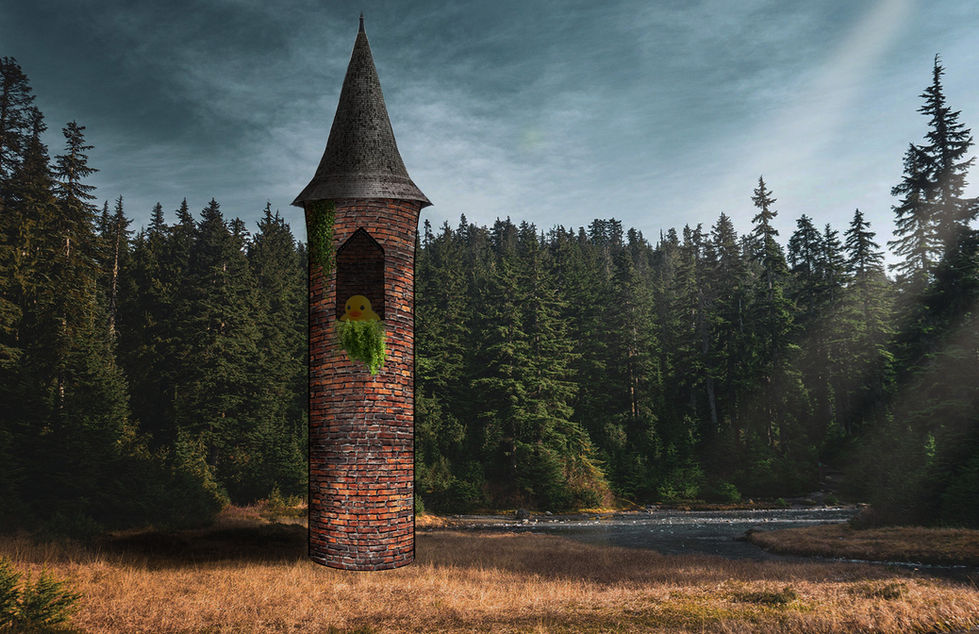 Rapunzel's Tower