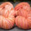 Thumbnail: 2 Skeins DK Weight SW Merino/Nylon "Cantaloupe"