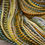 Thumbnail: Worsted Weight Rambouillet "Sulphur"