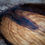 Thumbnail: Rustic Driftwood Handcarved Bowl