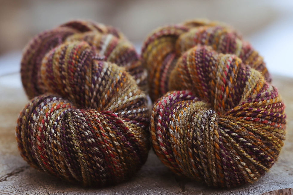 2 Skeins DK Weight Mixed BFL "Curried Beets/Pecan Pie" Combo Spin