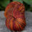 Thumbnail: DK Weight Organic Polwarth/Silk "Autumn Equinox"