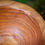 Thumbnail: Rustic Cedar Handcarved Bowl (#4)