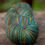Thumbnail: Light Fingering Weight Organic Polwarth/Silk "Neah Bay"