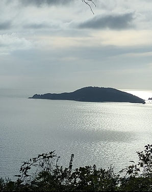 WhatsApp Image 2025-11-10 at 11.19.34.jpeg