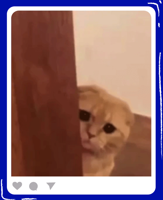 HVD_01-06.gif