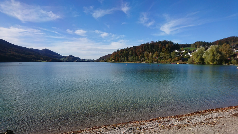 DSC_0509.jpg