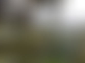 Seguro rural e seus desafios para expansão e oferecimento de produtos para novas culturas*