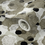 Thumbnail: Fossilised Reef Wallpaper