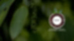 Production image.jpg