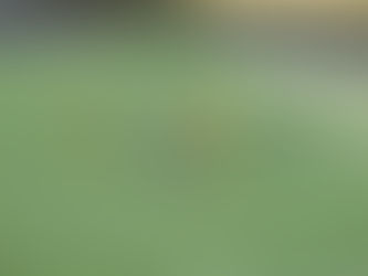 São Bernardo faz jogo treino com Juventus e empata.