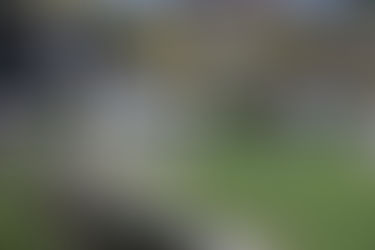 Tigre faz promoção na semana das Mulheres, elas pagam meia entrada para jogo contra Audax.