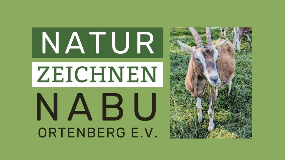 Naturzeichnen auf dem Gelände des NABU Ortenberg e.V. am Haus an den Salzwiesen