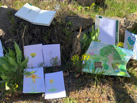 Naturzeichnen in Kooperation mit NABU Ortenberg