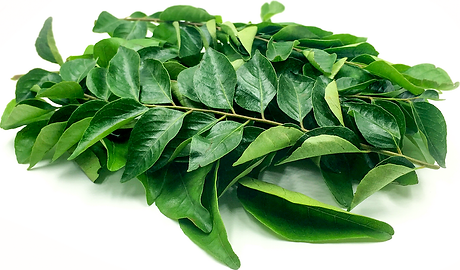 curryt leaf.png