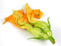 squash bloosom.jpg