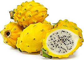 yellow dragon.jpg