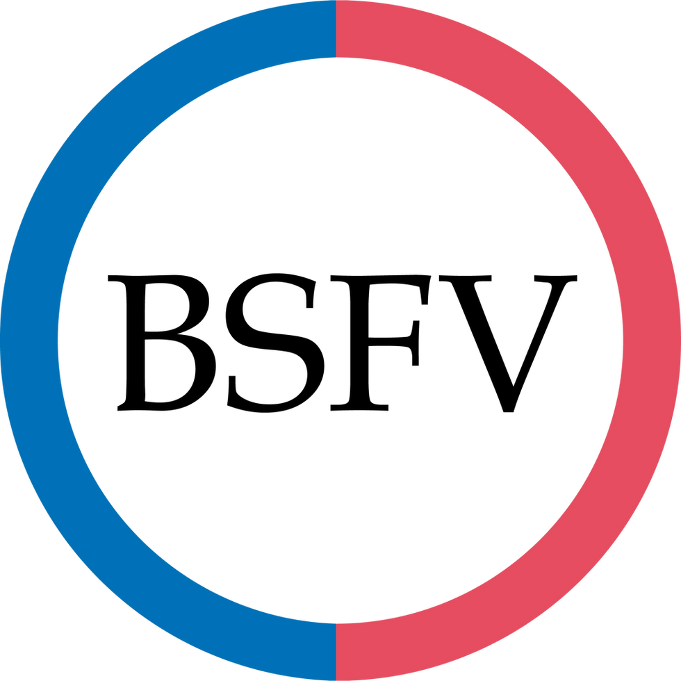 logo BSFV_grosse_buchstaben (1).png
