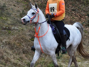 They say the first 40km is the hardest