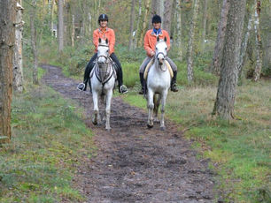 Last Endurance race of the season