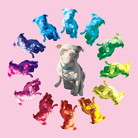 Color Wheel.png