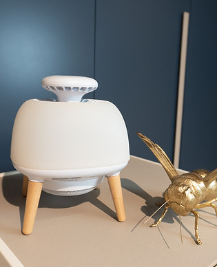 COP001279_Ambiente_Reva_4_4-zu-5.jpg