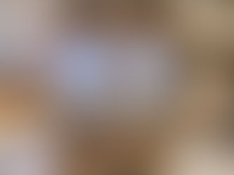 本研究センターの月岡忠氏が中心となりMOCTIONで浦幌木炭の展示と明治大学の共同研究を実施しました。