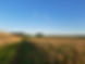 20241005_181037.jpg